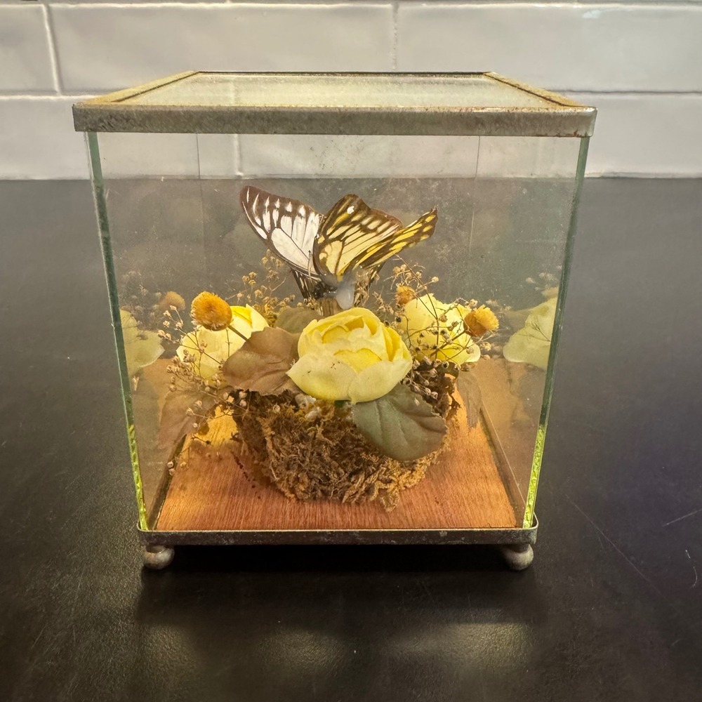 Albert E. Price Butterfly Display Case Small Yellow Vintage Brass Glass Diorama